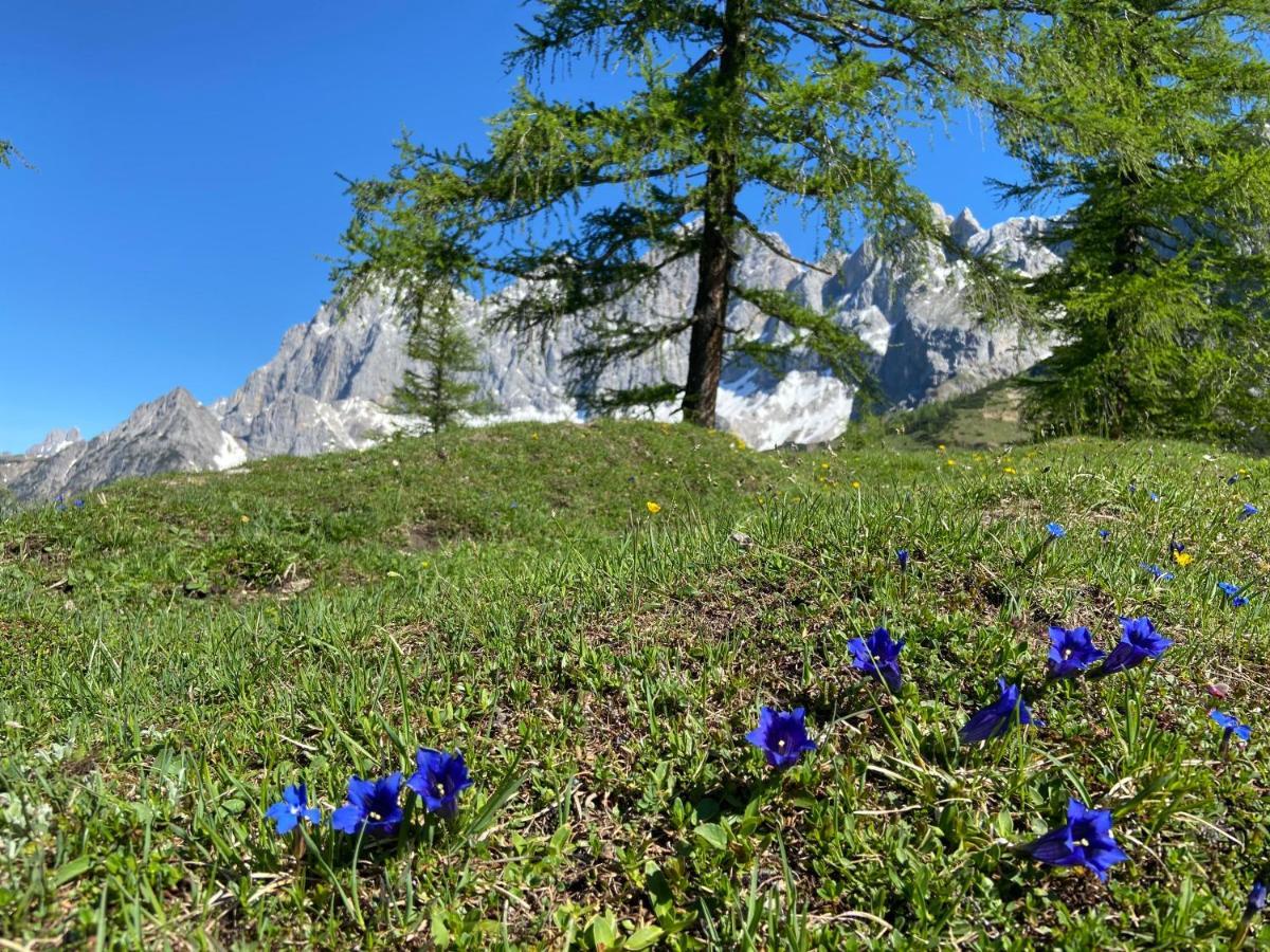 Apartamento Haus Sonnleitner Ramsau am Dachstein Exterior foto